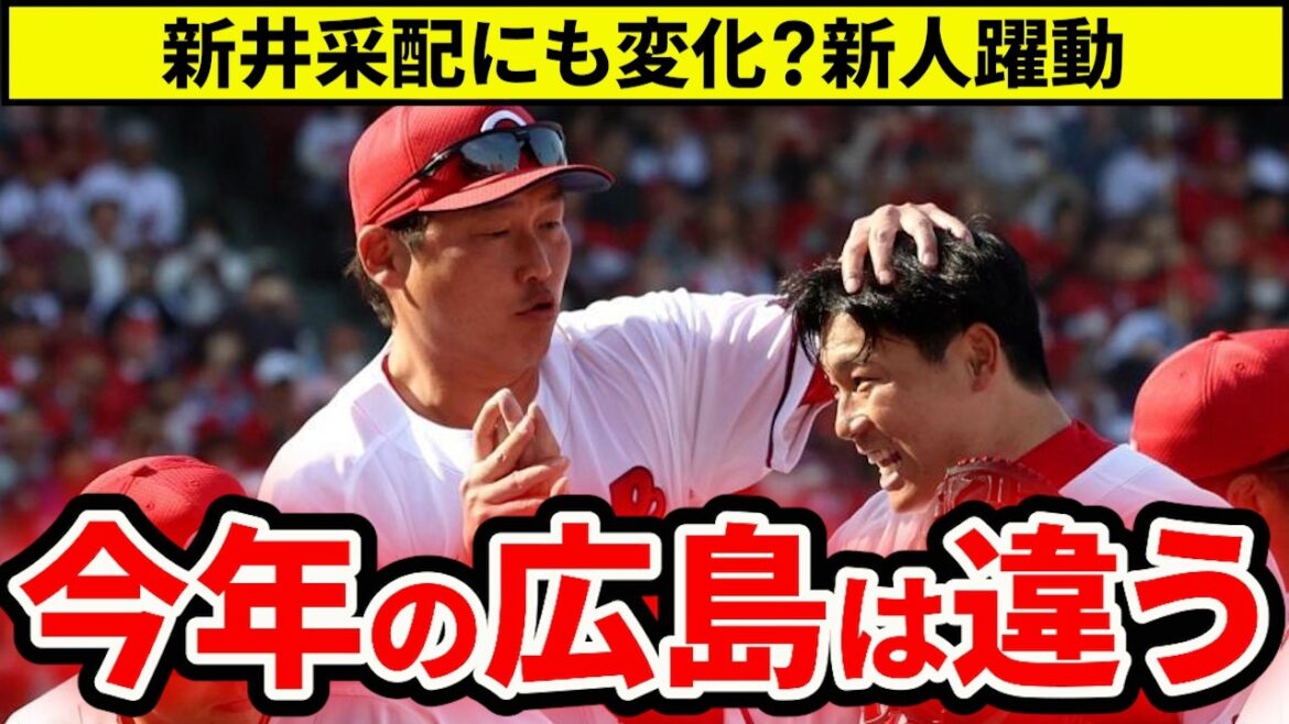 【広島】今年のカープは違う！新井監督の采配に見える変化とは？【広島東洋カープ】