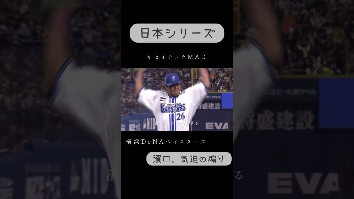 【日本シリーズ2024】 ゲームハイライト第4〜6戦　キセイチュウMAD #プロ野球 #日本シリーズ #日本シリーズ2024
