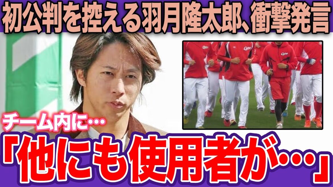【カープ激震】芋づる式逮捕の危機！？元広島・羽月隆太郎の”トカゲのしっぽ切り”の恐怖…陥れた「黒幕」の正体と球団が抱える深すぎる闇の正体【プロ野球】