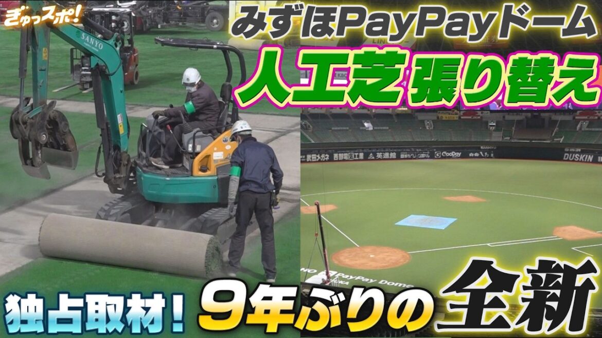 独占取材！みずほPayPayドーム 9年ぶりの人工芝張り替え【ぎゅっスポ】（2026年3月27日放送）