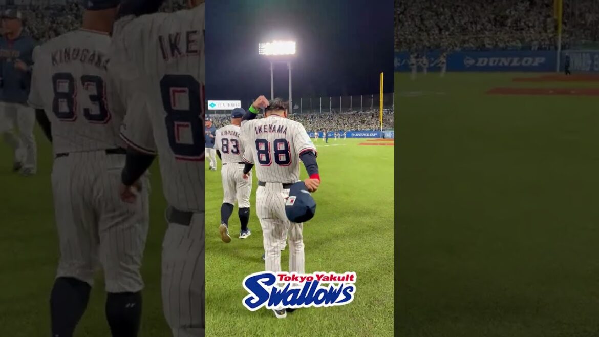 勝利後のハイタッチ #swallows #shorts