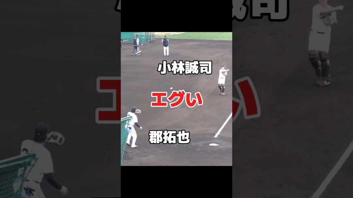 小林誠司と郡拓也、キャッチボールの軌道がエグい　巨人　ジャイアンツ春季キャンプ　プロ野球　#巨人 #ジャイアンツ #プロ野球 #野球 #捕手  #baseball #shorts