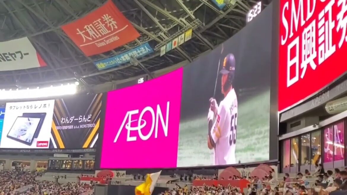 20240817　石塚綜一郎 登場曲【｢わんダーらんど｣／豆柴の大群】　5回ｳﾗ　福岡ｿﾌﾄﾊﾞﾝｸﾎｰｸｽ@みずほPayPayﾄﾞｰﾑ福岡･ﾗｲﾄ外野