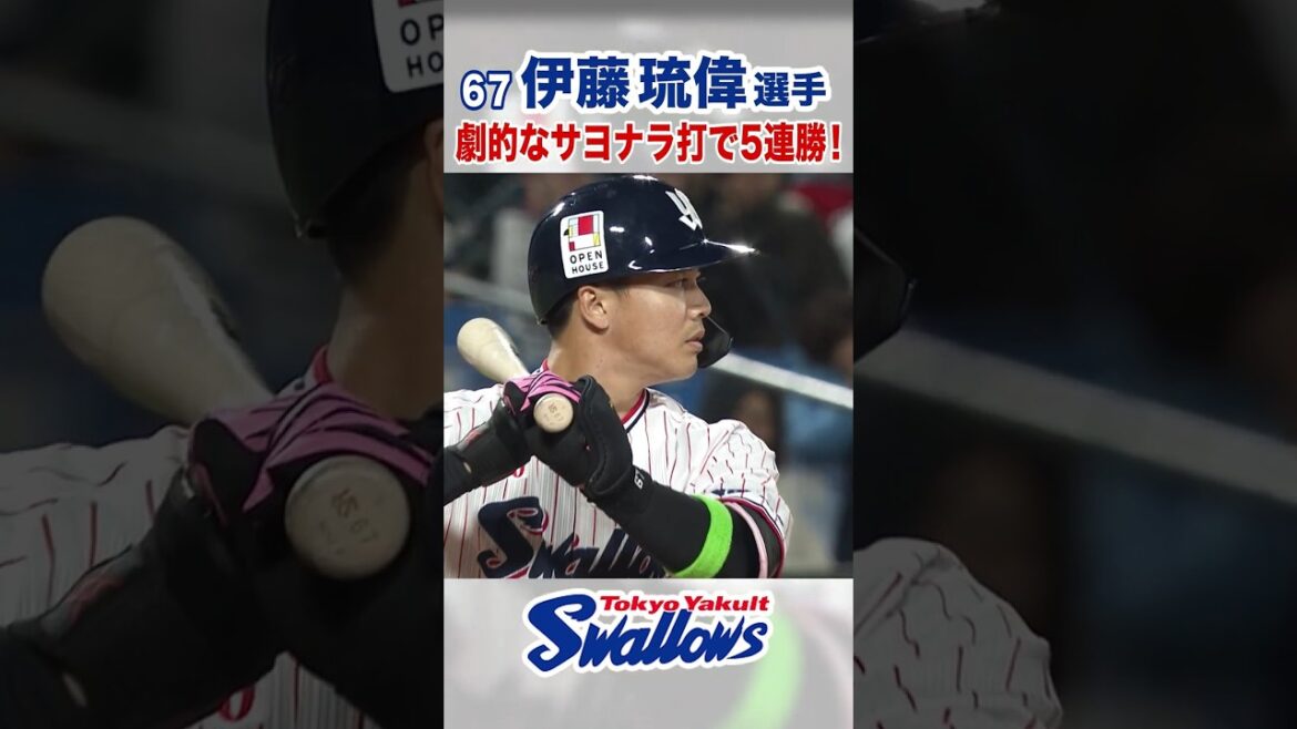 伊藤琉偉選手 劇的なサヨナラ打で5連勝！ #swallows #伊藤琉偉 #shorts