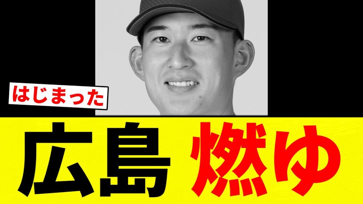 【燃ゆ】広島 燃ゆ【プロ野球反応集】【2chスレ】【なんG】