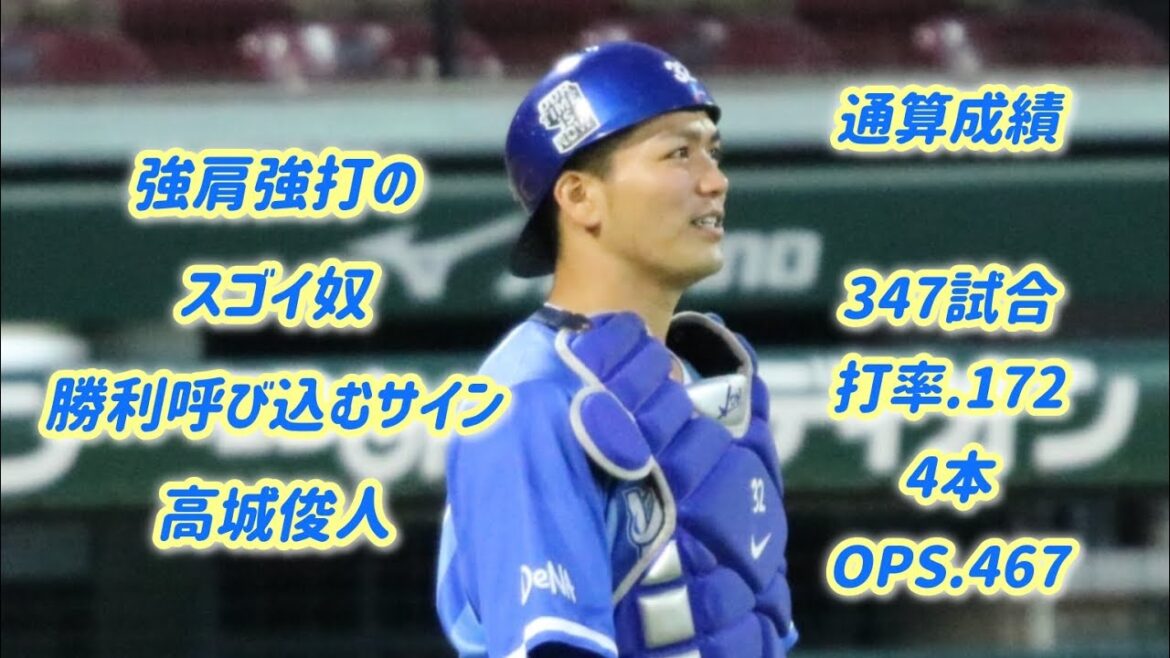 髙城俊人・DeNA【30分耐久】応援歌 広告なし 作業用 睡眠用BGM 歌詞つき 現地音源 ハモり 1時間耐久 横浜DeNAベイスターズ