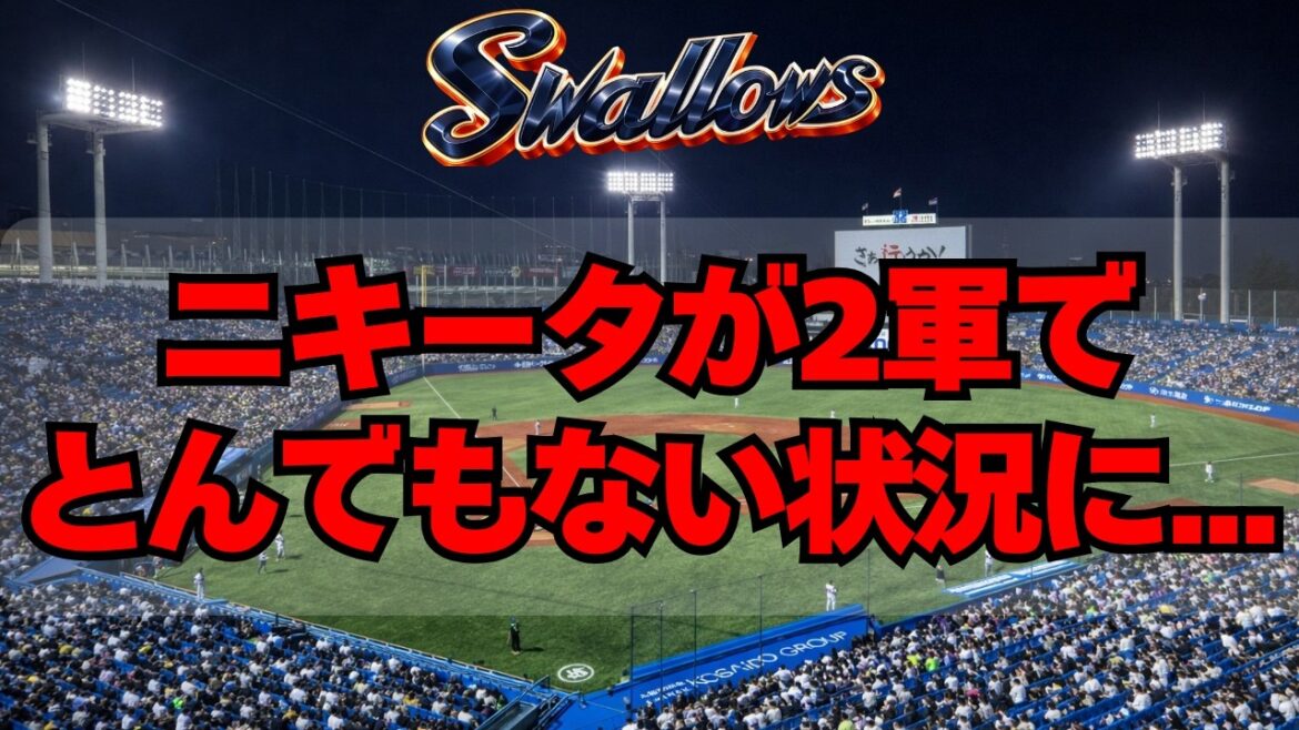 【ヤクルト】2年目・ニキータの最新の状況がヤバイ・・・