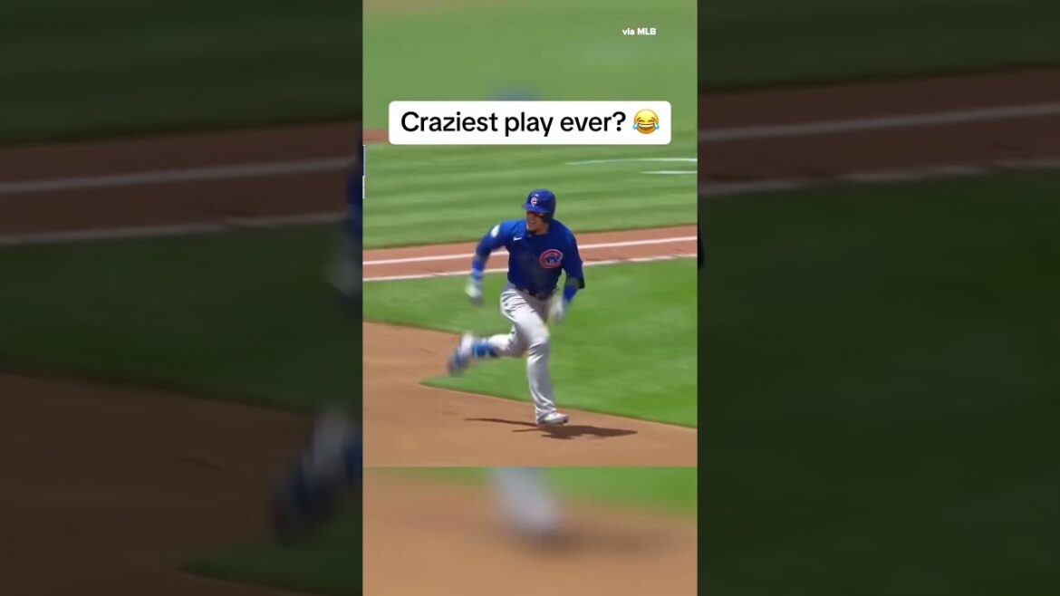 You don’t see this everyday 😯 #shorts You don't see this everyday 😯 #shorts