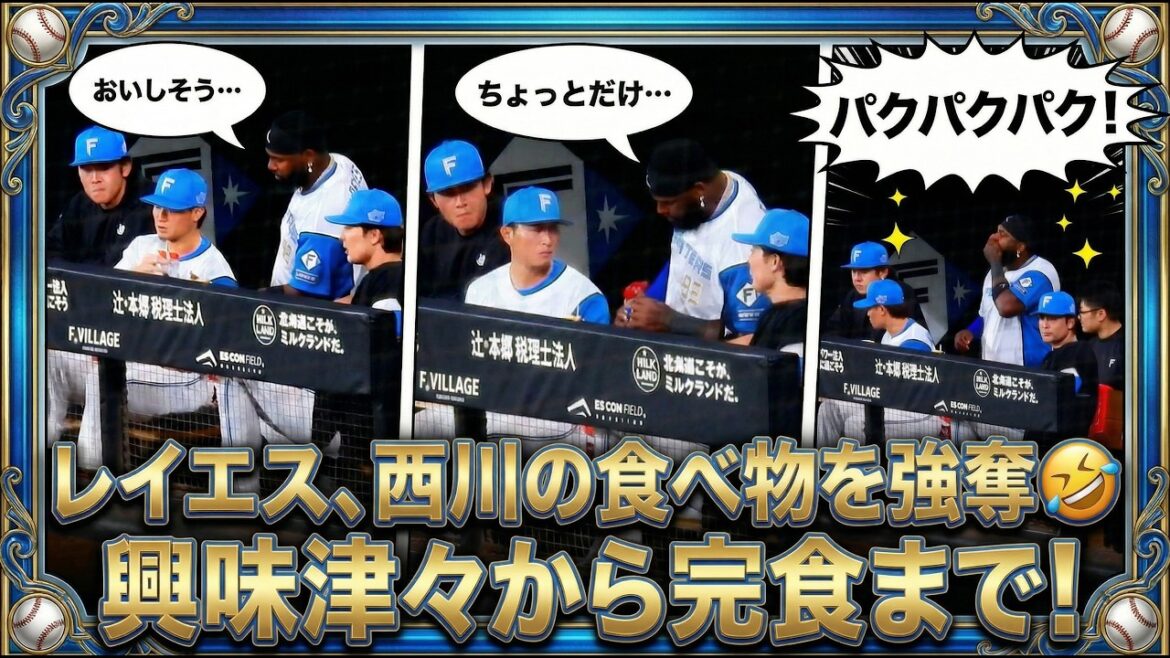 【20260404】レイエスが西川遥輝の食べ物に興味津々。パクパク食べ始める🤣