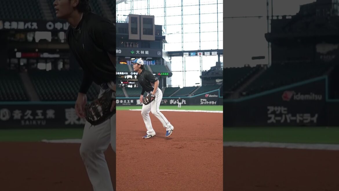 日々、上達。#ドミれ #lovefighters