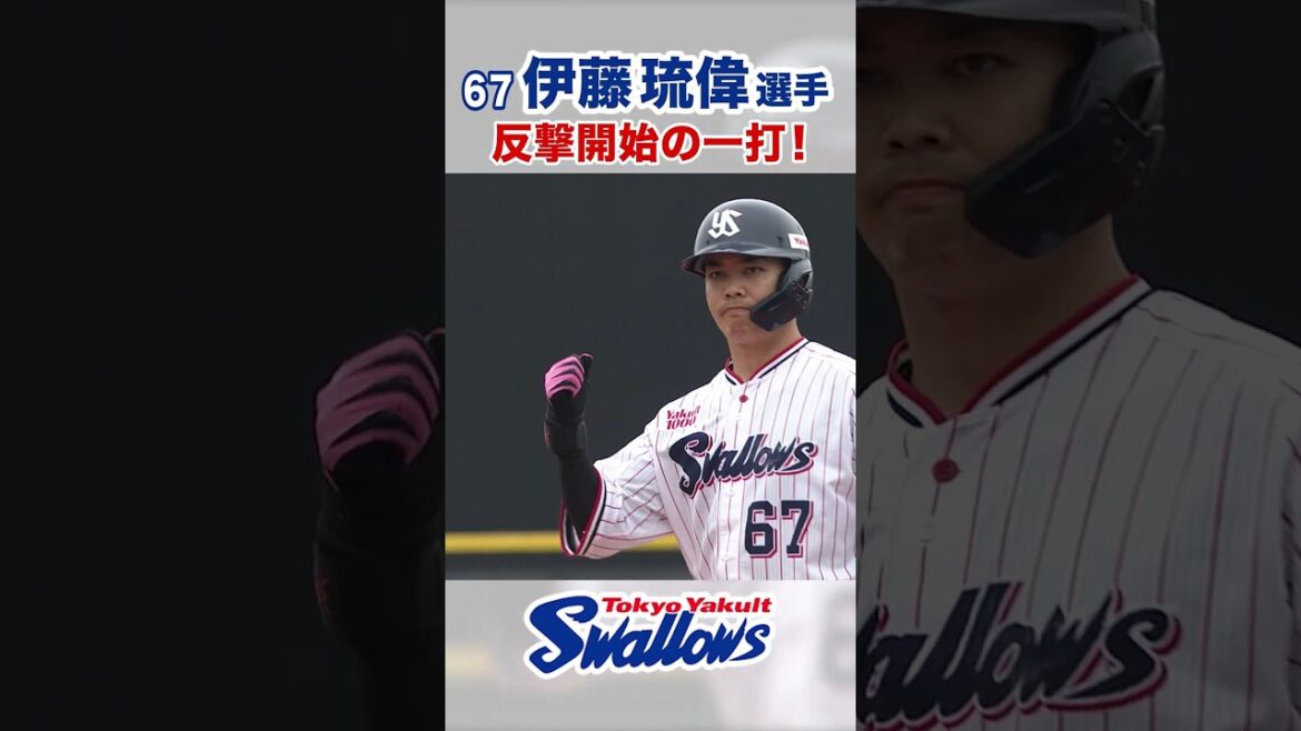 伊藤琉偉選手 反撃開始の一打！ #swallows #伊藤琉偉 #shorts
