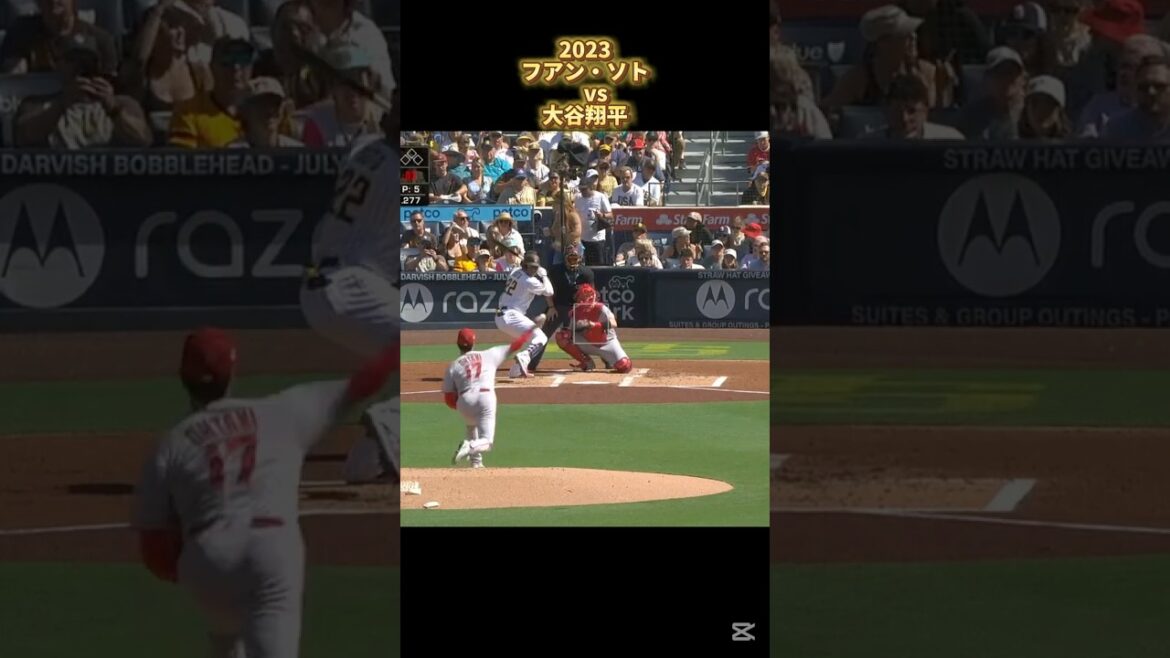 【大谷翔平】vsフアン・ソト 2023 Juan Soto Shohei Ohtani #shorts