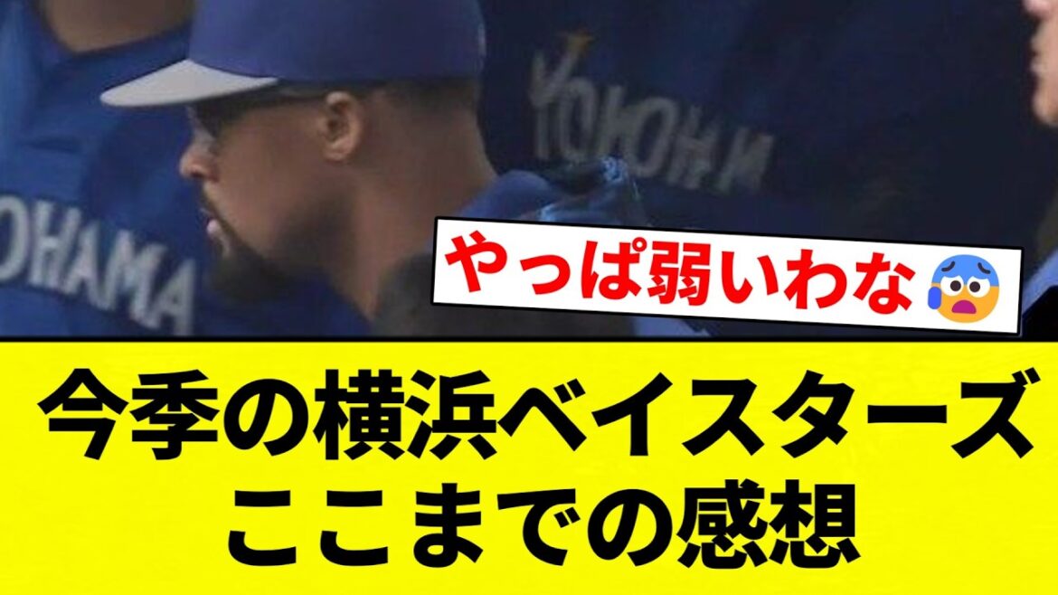 【感想】今季の横浜ベイスターズここまでの感想【プロ野球反応集】【2chスレ】【なんG】