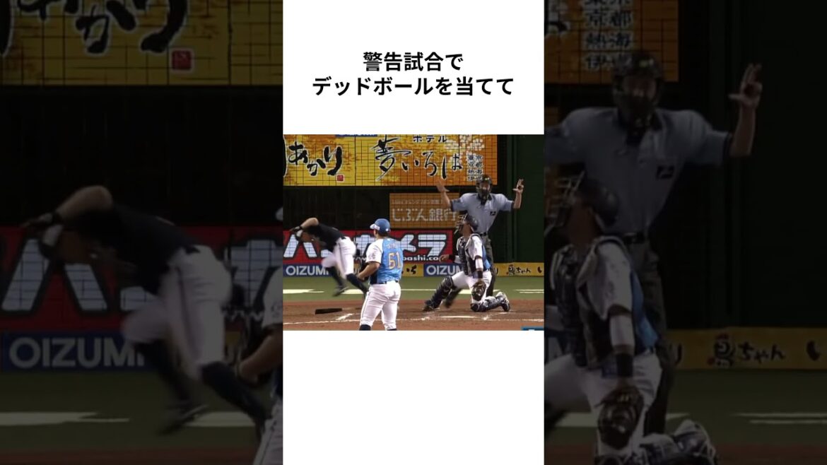 ㊗️10万再生【理論派】埼玉西武ライオンズ 平良海馬の野生児っぽい動き #プロ野球 #npb #埼玉西武ライオンズ #平良海馬 #shorts
