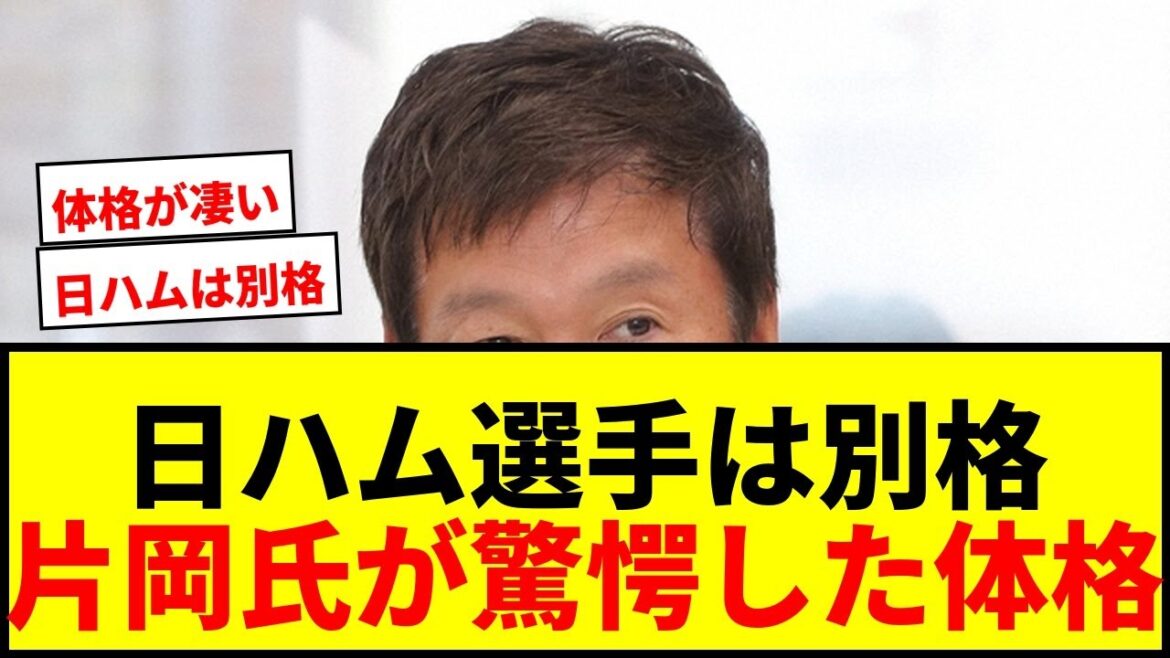 【衝撃】日本ハムの選手が「別格」！片岡篤史氏がパ・リーグの体格に驚愕した理由とは？