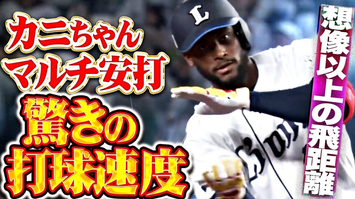 【上々の滑り出し】カナリオ『カニちゃんの打球速度が半端ない…パワーも確信した来日初マルチ安打!!』 【上々の滑り出し】カナリオ『カニちゃんの打球速度が半端ない…パワーも確信した来日初マルチ安打!!』