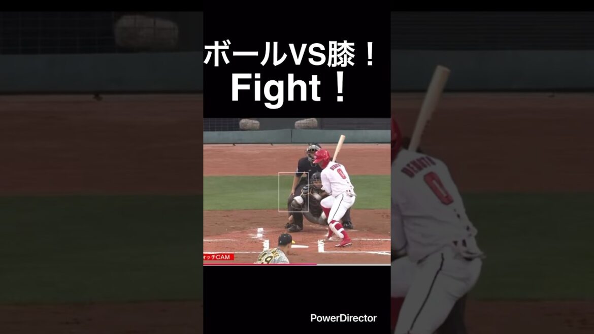 ボールVS膝fight！#shorts #阪神タイガース #広島東洋カープ #プロ野球
