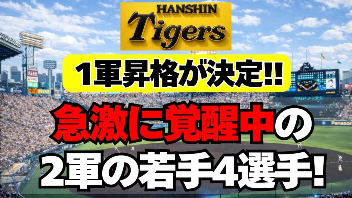 【阪神】あの選手の昇格が決定！2軍で大覚醒中の若手４選手