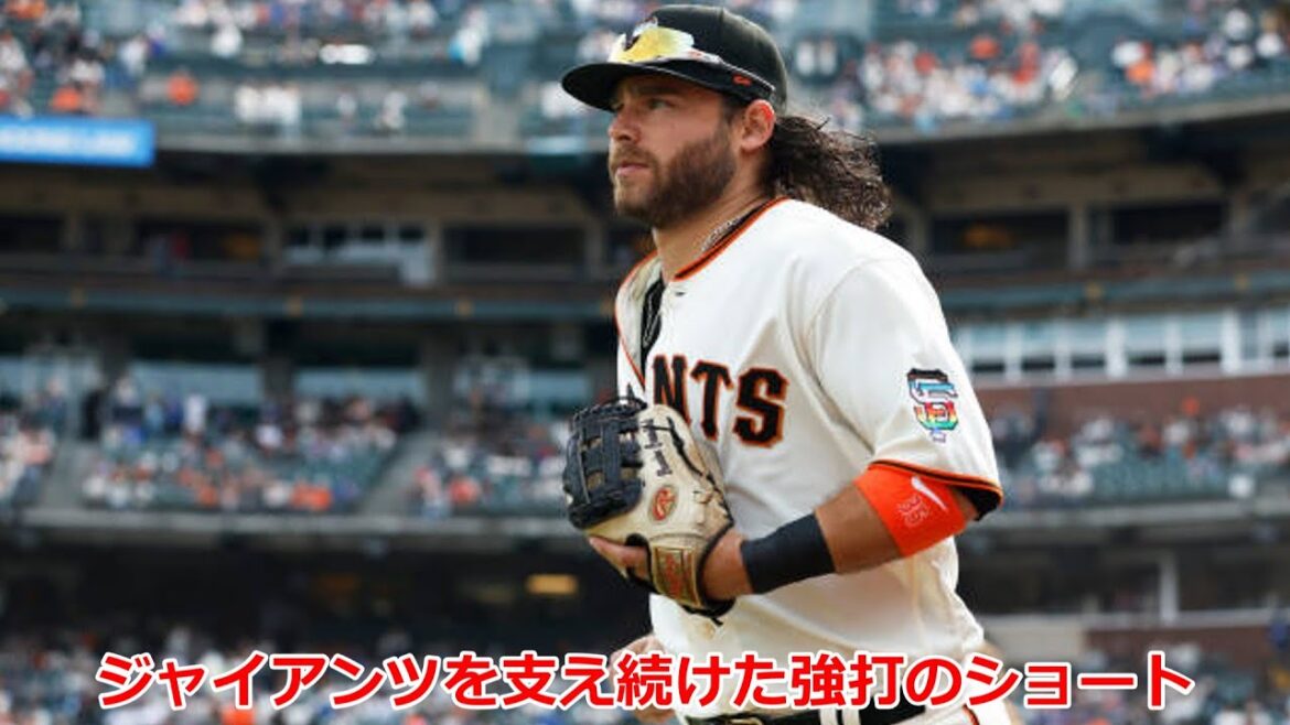 【ブランドン・クロフォード】長身をなびかせて華麗なプレイを見せたスター、ブランドン・クロフォードを語る【ゆっくり解説】