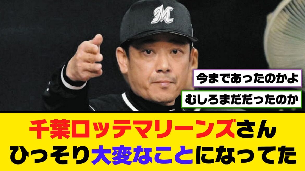 千葉ロッテマリーンズさん、ひっそり大変なことになってた【5ch/2ch】【なんj/なんg】【反応集】