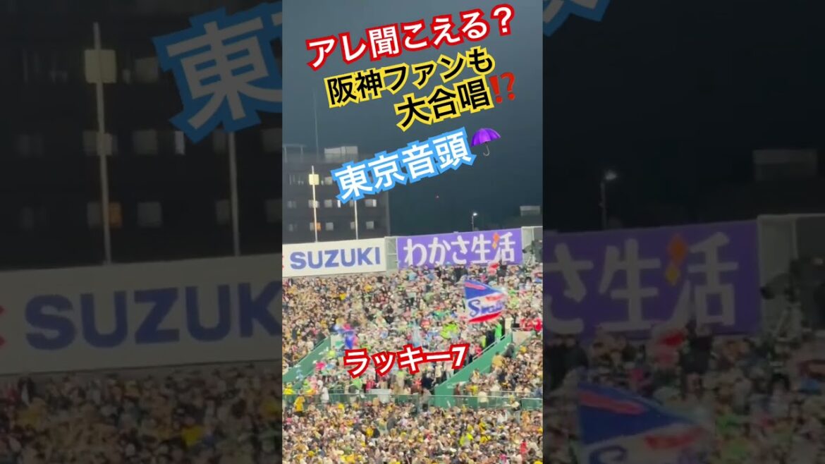 #ラッキー7 #東京音頭 #東京ヤクルトスワローズ #阪神甲子園球場 #甲子園 #ビジター