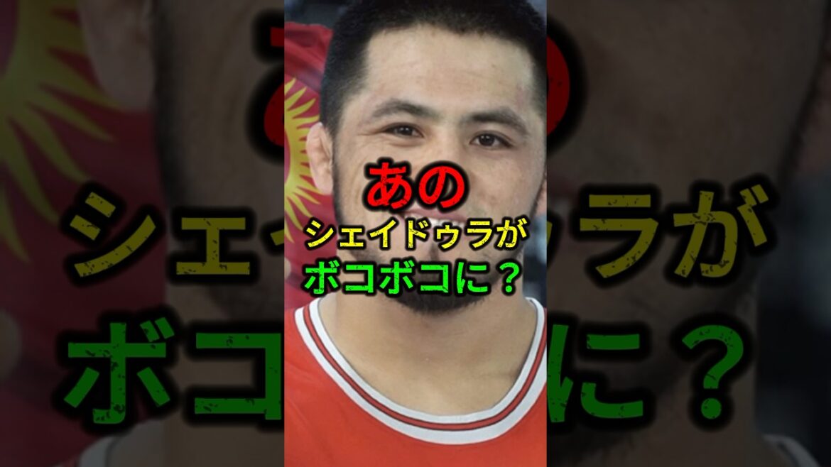 あのシェイドゥラエフがボコボコに？#rizin #格闘技 #ブレイキングダウン
