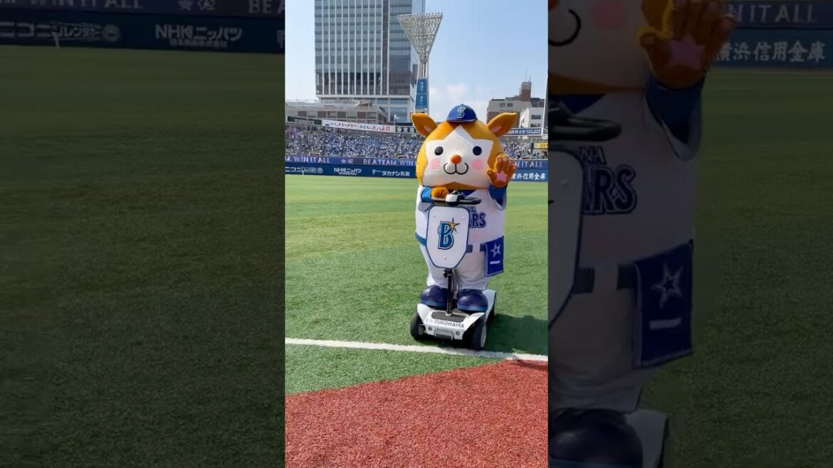 日本一運転がうまい可能性のあるハムスター？🐹🚗