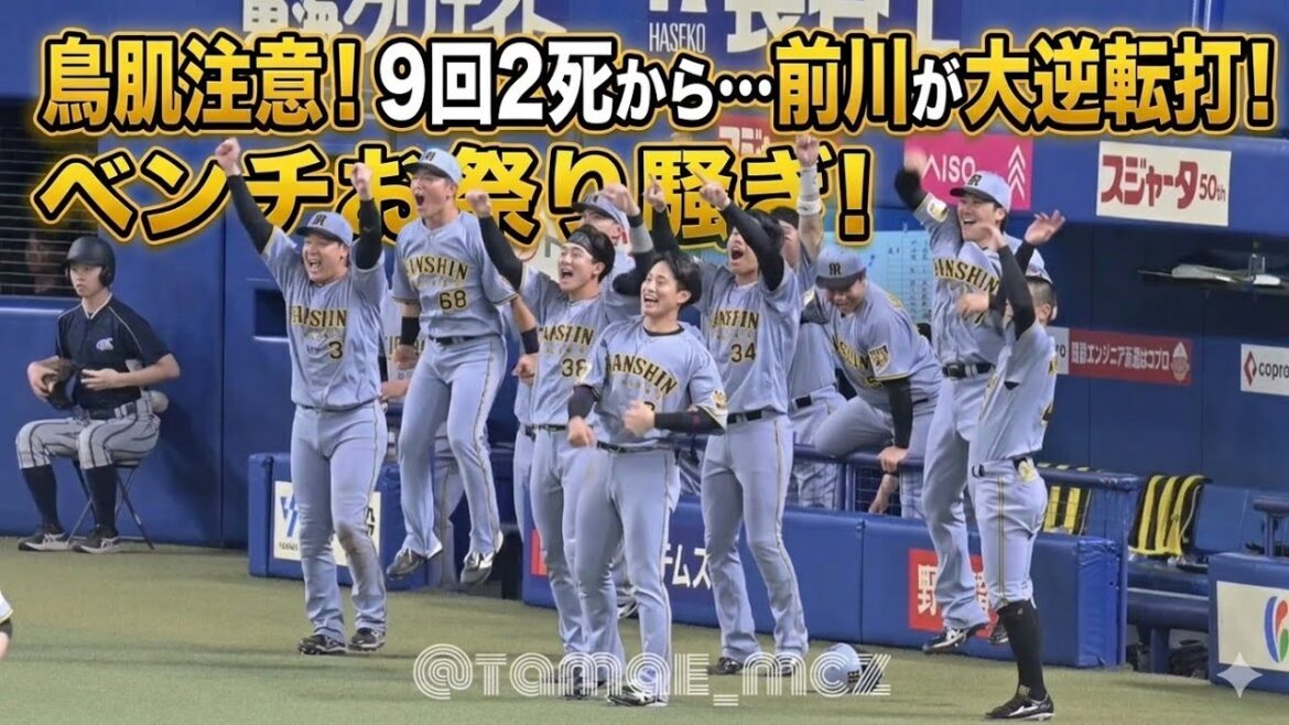 【阪神】前川逆転タイムリーで喜ぶベンチの様子