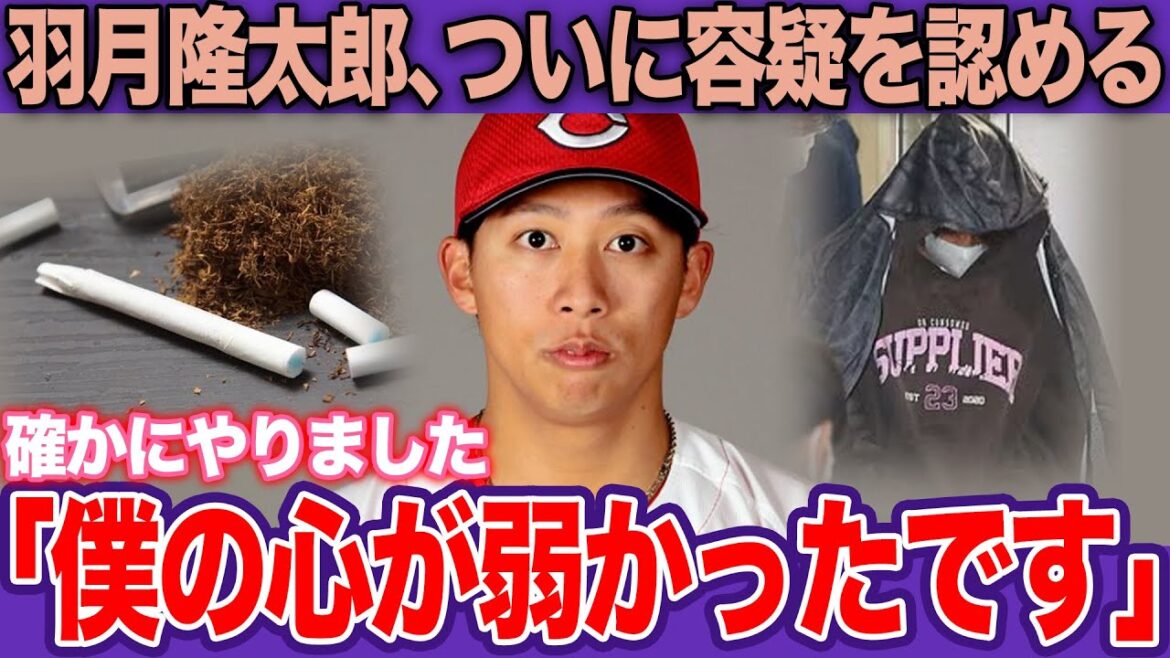 頑なな否認から一転…堕ちたムードメーカー・羽月隆太郎、真面目な男を狂わせた「孤独とプレッシャー」。チーム内孤立が生んだ変貌した私生活と“ゾンビたばこ”汚染ルート。【プロ野球】