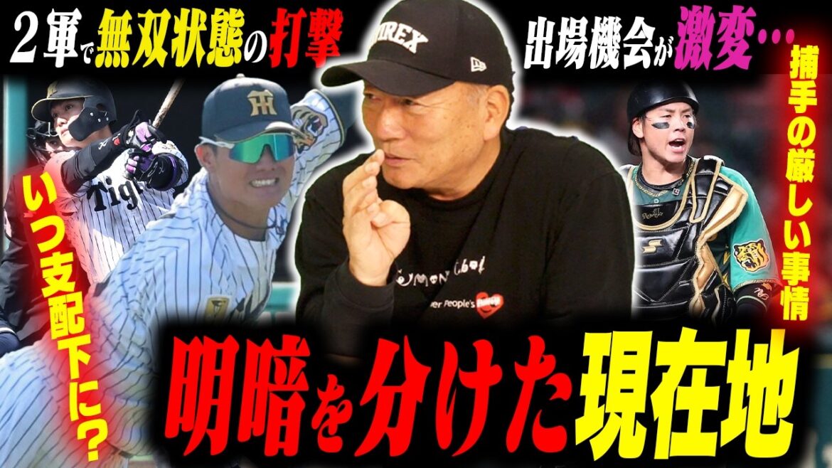 【どうする⁉︎】育成契約も打率好調の西純矢『いつ支配下にするべき⁉︎』二軍で苦しむ梅野隆太郎…明暗を分けた２選手について語る！
