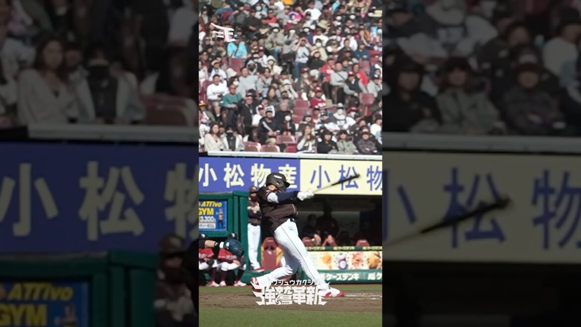 #辰己涼介 選手 チームを連勝に導く！左中間への2ランホームラン⚾