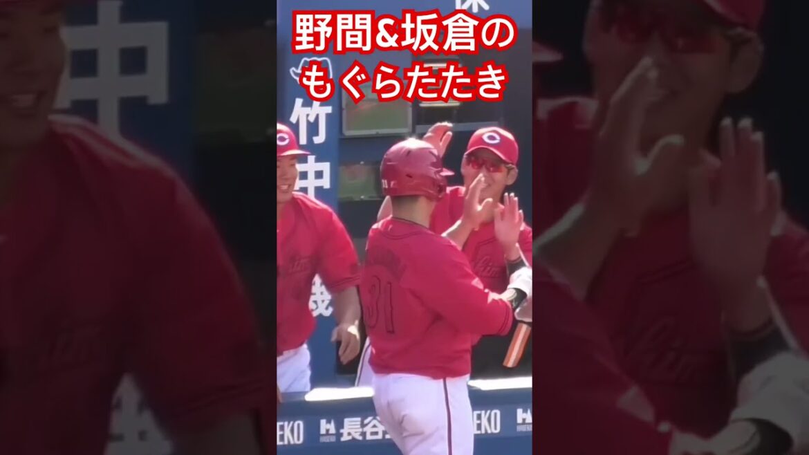 坂倉がパイセン野間の頭を叩く！広島カープvs横浜DeNAベイスターズ #shorts  2026年4月12日