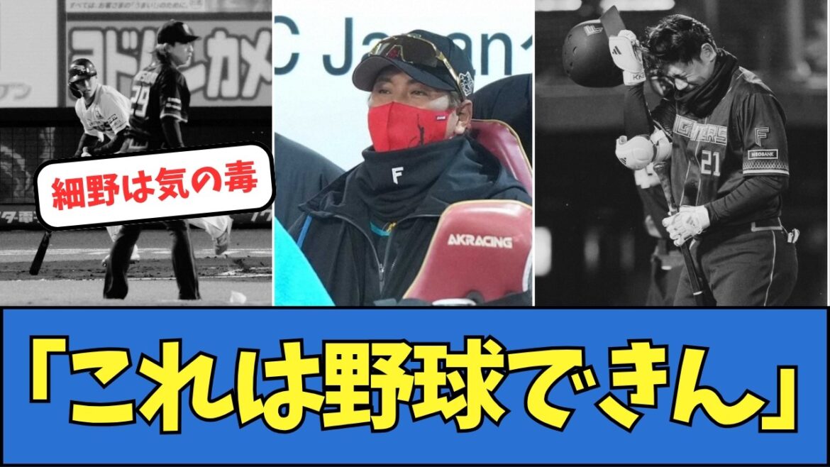 【キッパリ】新庄監督「これは野球できん！」