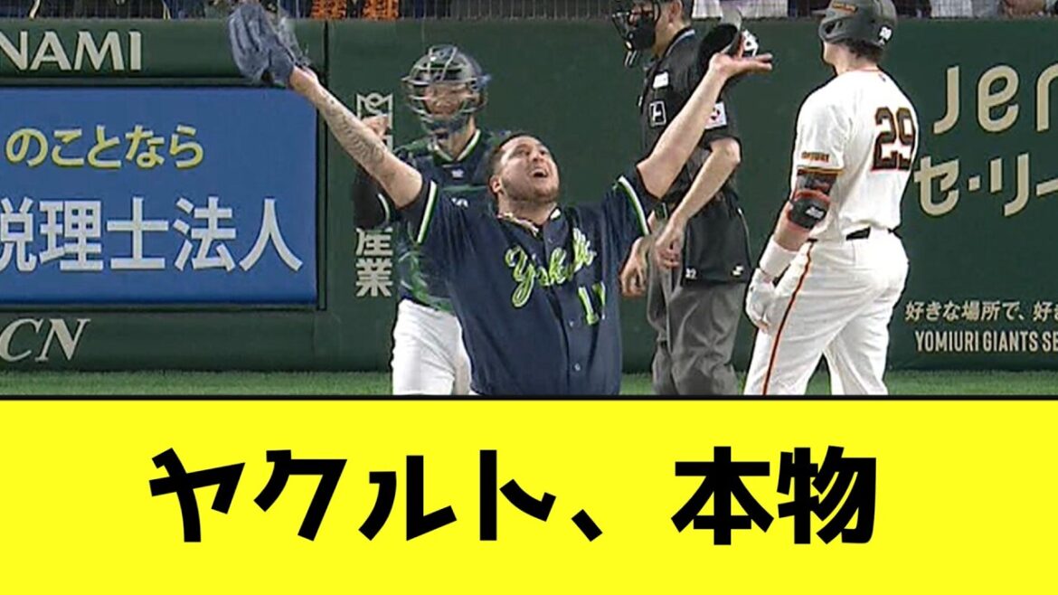 今年のヤクルト、本物wwwwwwwww【なんJ反応】