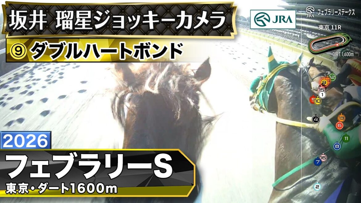 【ジョッキーカメラ】ダブルハートボンド騎乗の坂井瑠星騎手ジョッキーカメラ映像｜2026年フェブラリーステークス｜JRA公式
