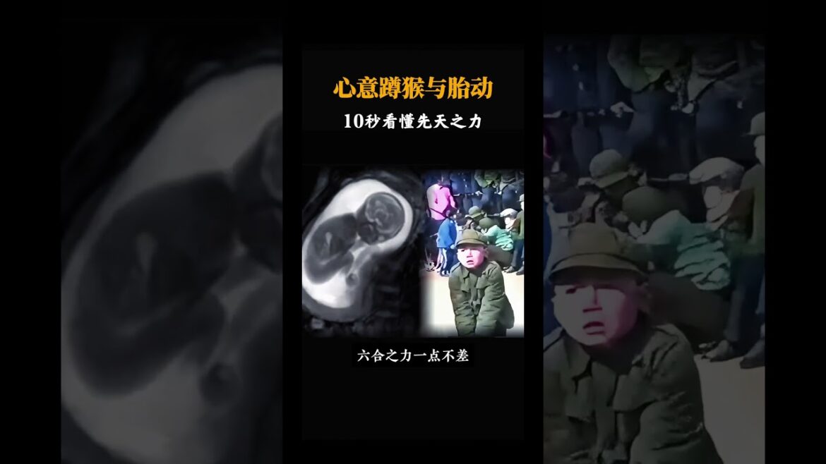 為什麼說心意拳的蹲猴，找的是先天之力，看看嬰兒的胎動就都明白了，六合之力一點不差，中國古人沒有現代的成像設備，他們是怎麼發現這些奧秘的呢，#心意拳 #武術  #功夫