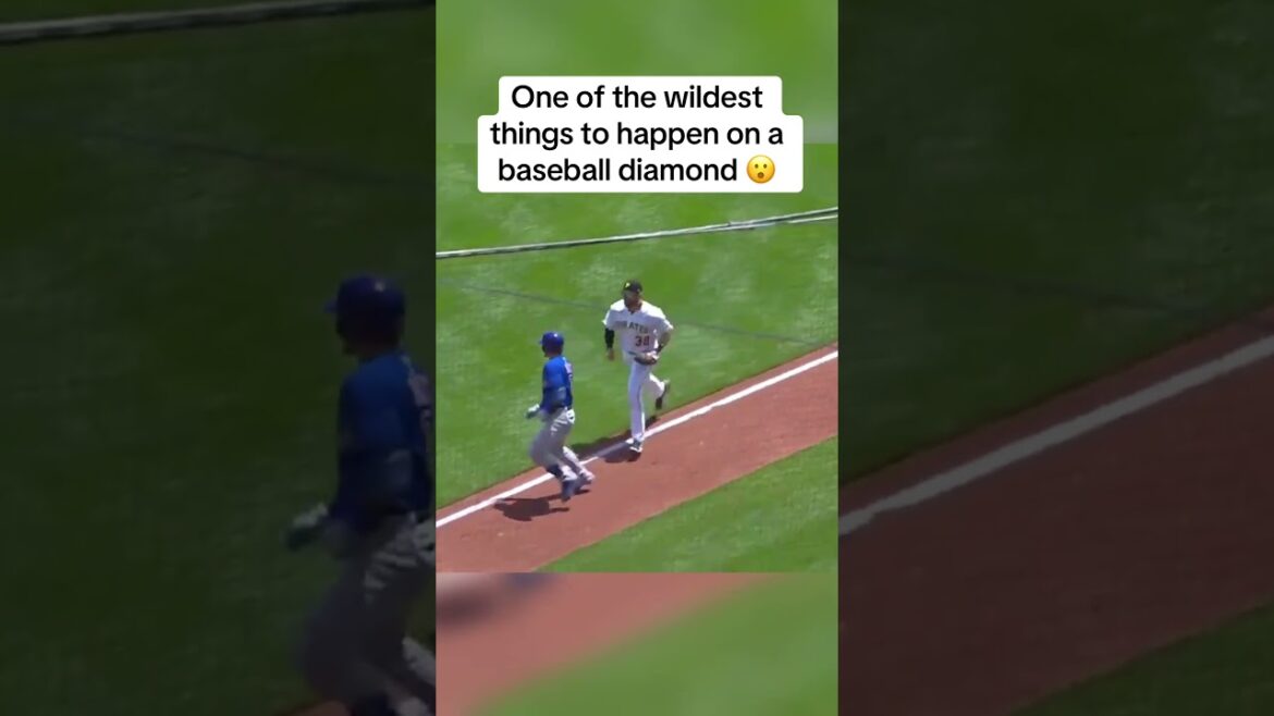 When Javier Baez was invisible 😂