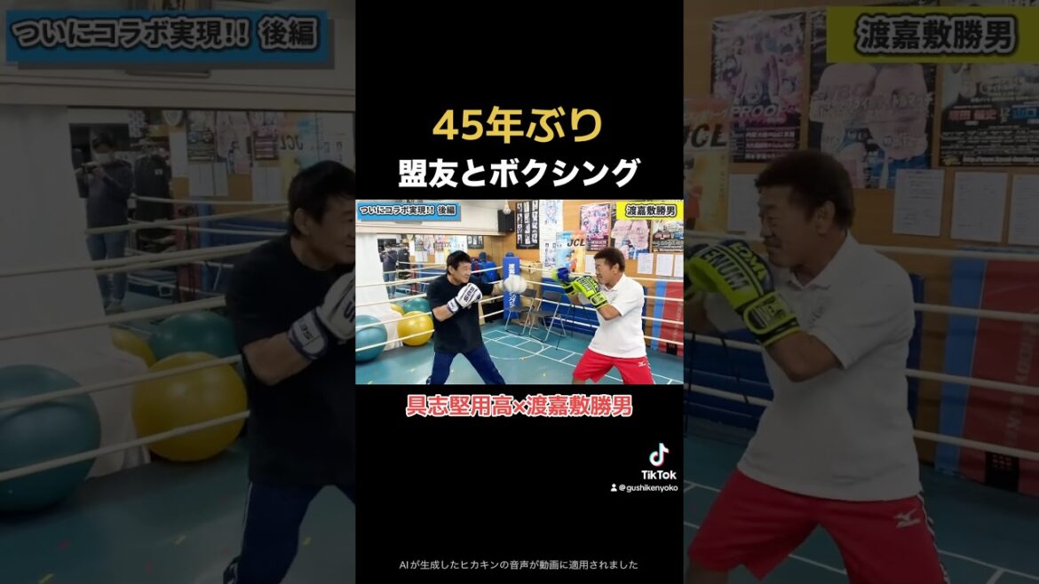 盟友と45年ぶりにボクシング【具志堅用高×渡嘉敷勝男】