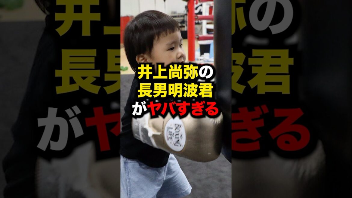 井上尚弥の長男"明波"君がヤバすぎる#格闘技 #ボクシング #井上尚弥 #shorts