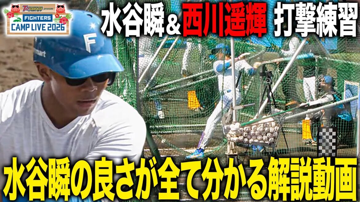 水谷瞬の良さが全てわかる打撃解説動画「ヘッドの位置が変わらない」＆西川遥輝 打撃練習＜2/3ファイターズ春季キャンプ2026＞