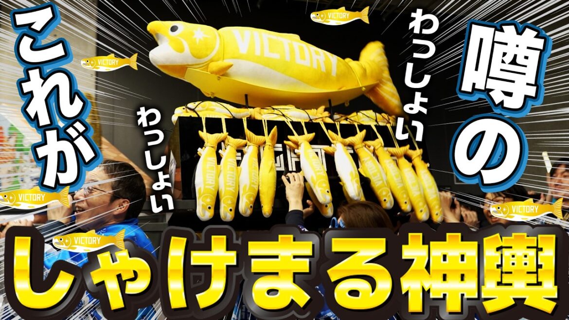 【しゃけまる神輿】エスコン勝利時は試合後に開催！【わっしょい】