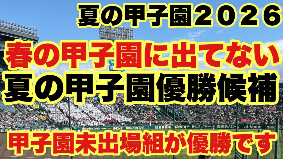 【高校野球】夏の甲子園優勝は甲子園に出てない強豪校が必ず来ます