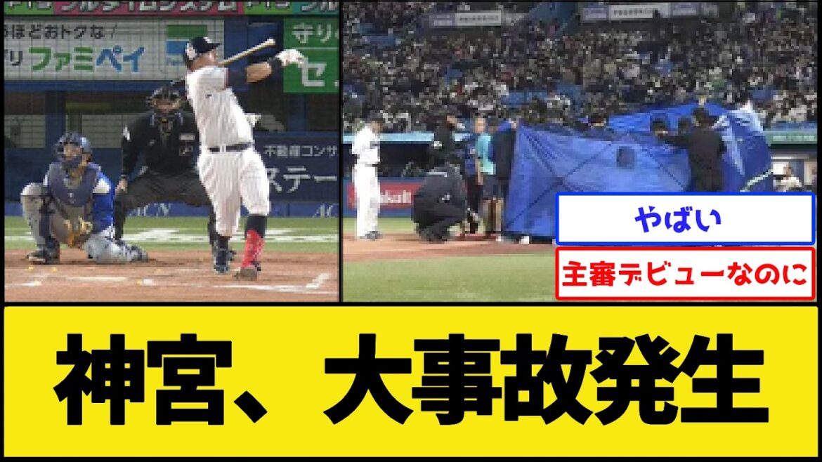 【バット直撃】神宮球場、大事故発生【プロ野球なんJ 2ch プロ野球反応集】