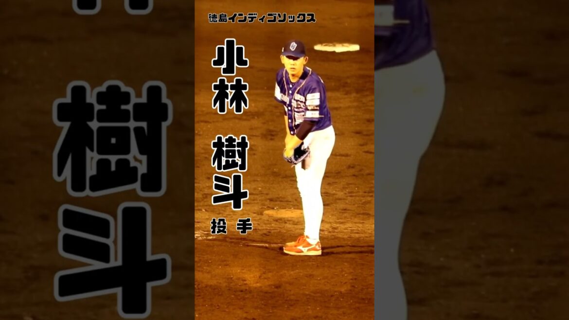 #小林樹斗 選手 #徳島インディゴソックス  珍プレー？好プレー？