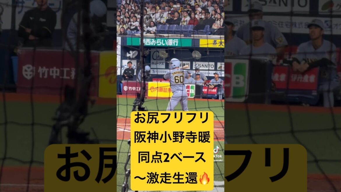 小野寺暖⚾️同点2ベース〜激走生還🔥WBC阪神-韓国　#阪神タイガース　#阪神　#プロ野球 　#小野寺暖　#WBC