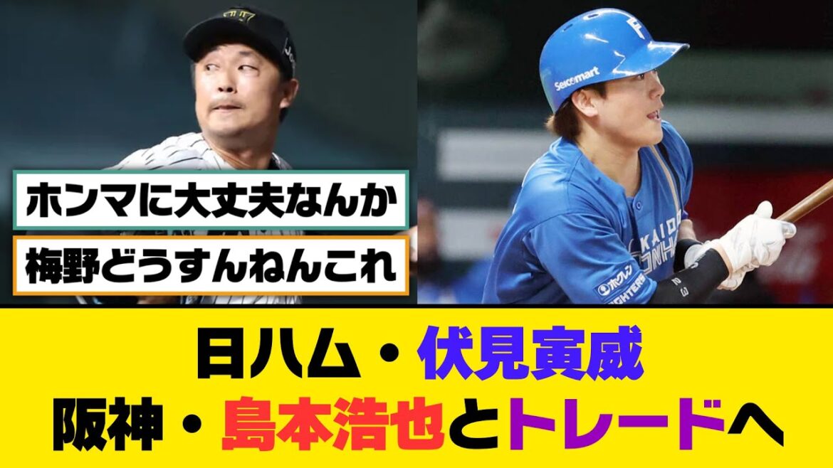 日ハム・伏見寅威、阪神・島本浩也とトレードへ【5ch/2ch】【なんj/なんg】【反応集】