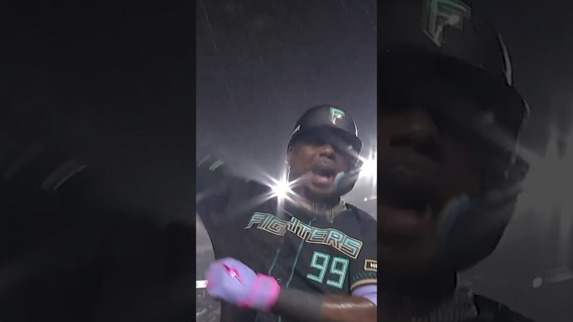 チームホームラン数が16試合で30本到達！　#ドミれ #lovefighters