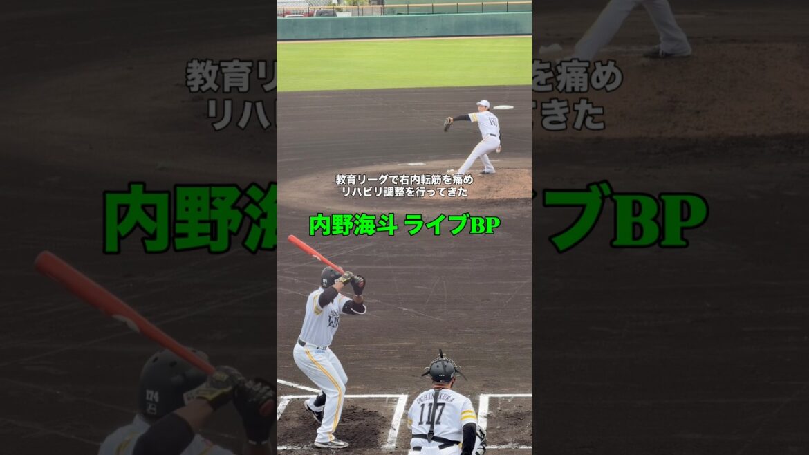 【内野海斗 ライブBP】 #福岡ソフトバンクホークス #sbhawks #プロ野球 #bambies #ファーム