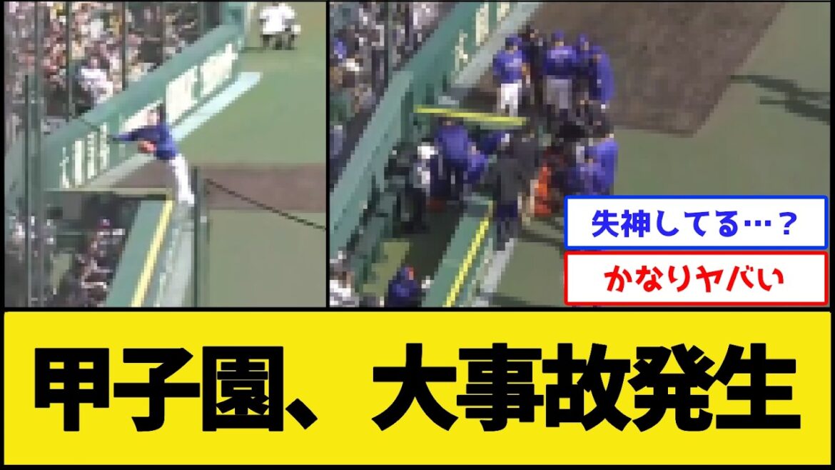 【危険】甲子園、大事故発生【中日ドラゴンズvs阪神タイガース】【プロ野球なんJ 2ch プロ野球反応集】