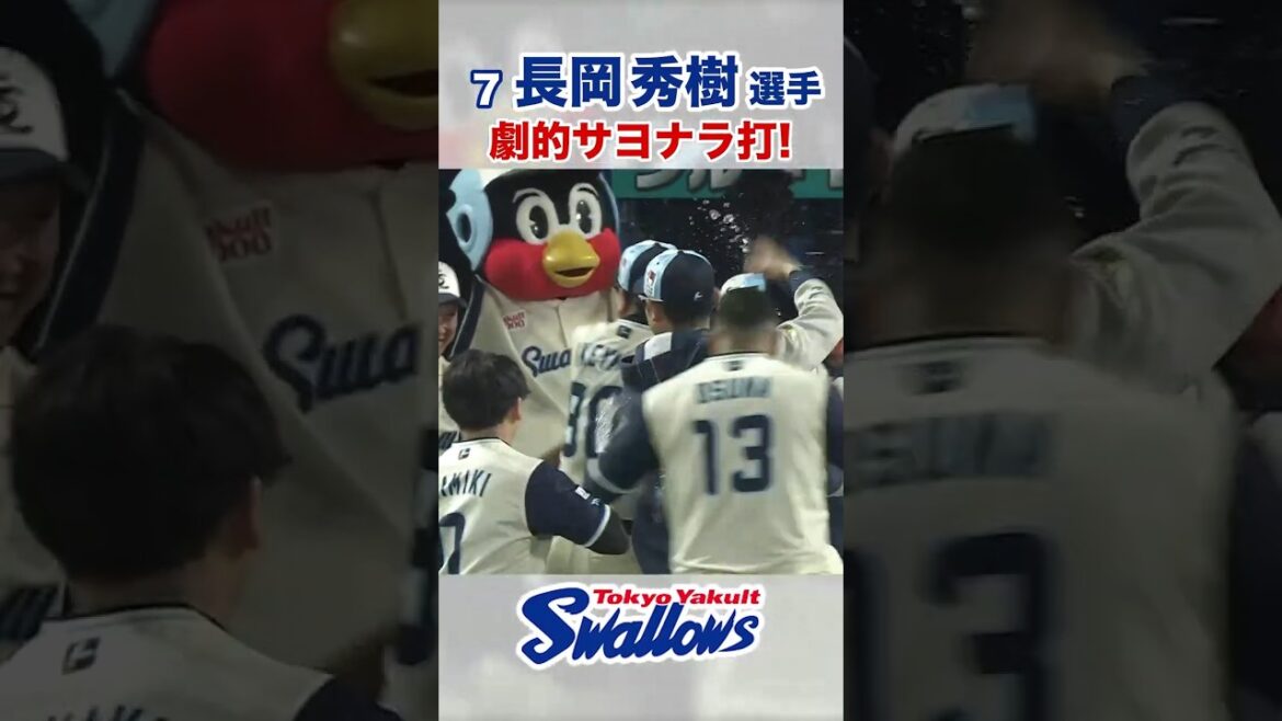 長岡秀樹選手 劇的サヨナラ打！  #swallows #長岡秀樹 #shorts